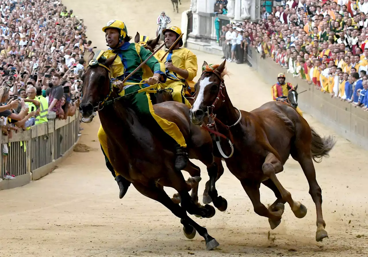 Palio di Siena: vince contrada Selva con Tittia