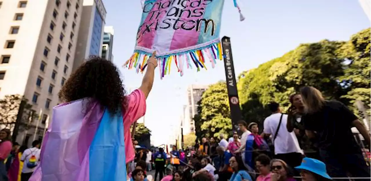 Matheus Pichonelli - 'Epidemia trans' é uma ideia falaciosa, isso não existe, diz associação