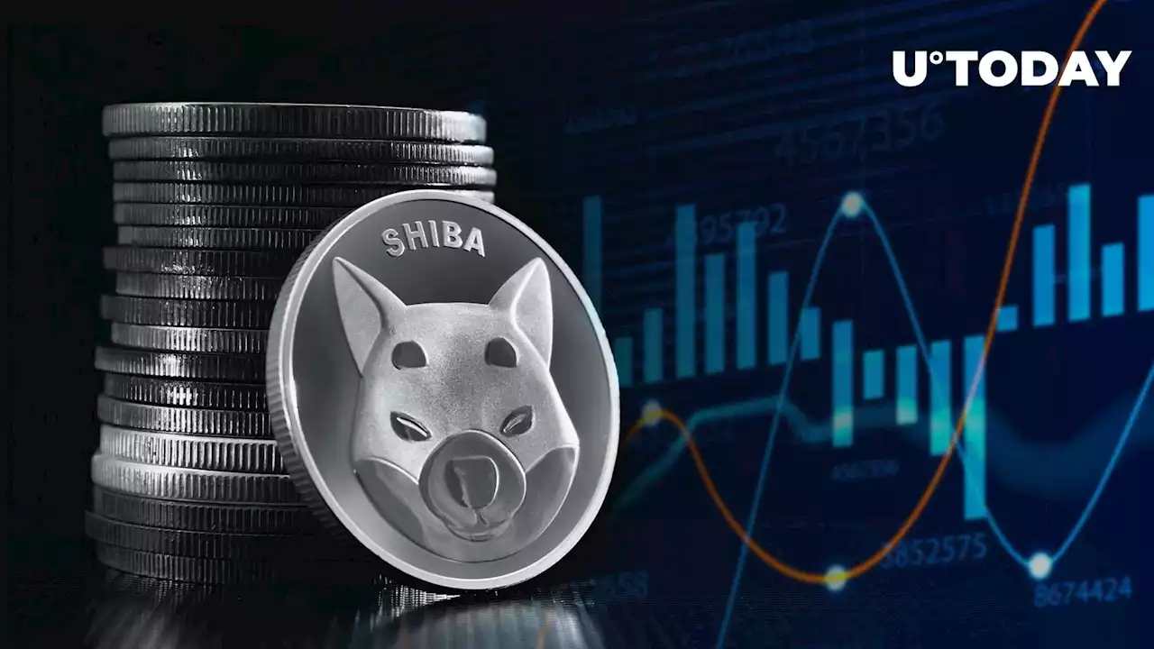 Shiba Inu Whales Hit Brakes as 8% SHIB Price Surge Rocks Market