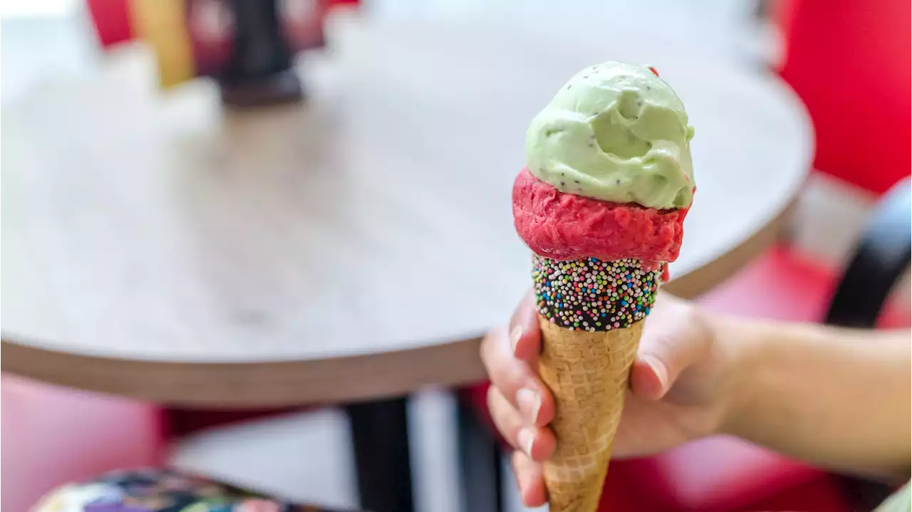 La macchina per preparare il gelato ovunque (e 6 alternative in commercio)