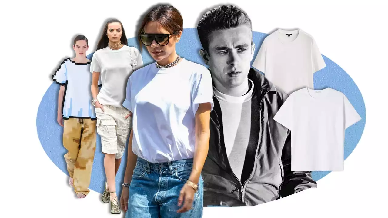 T-shirt bianca: la nostra guida definitiva per scegliere il modello giusto