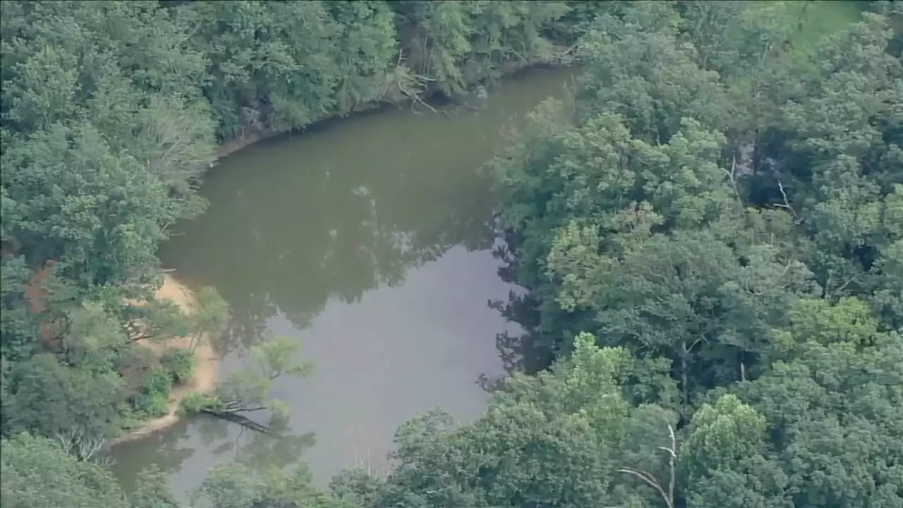 Pet owners warned of harmful algal bloom at New Jersey park