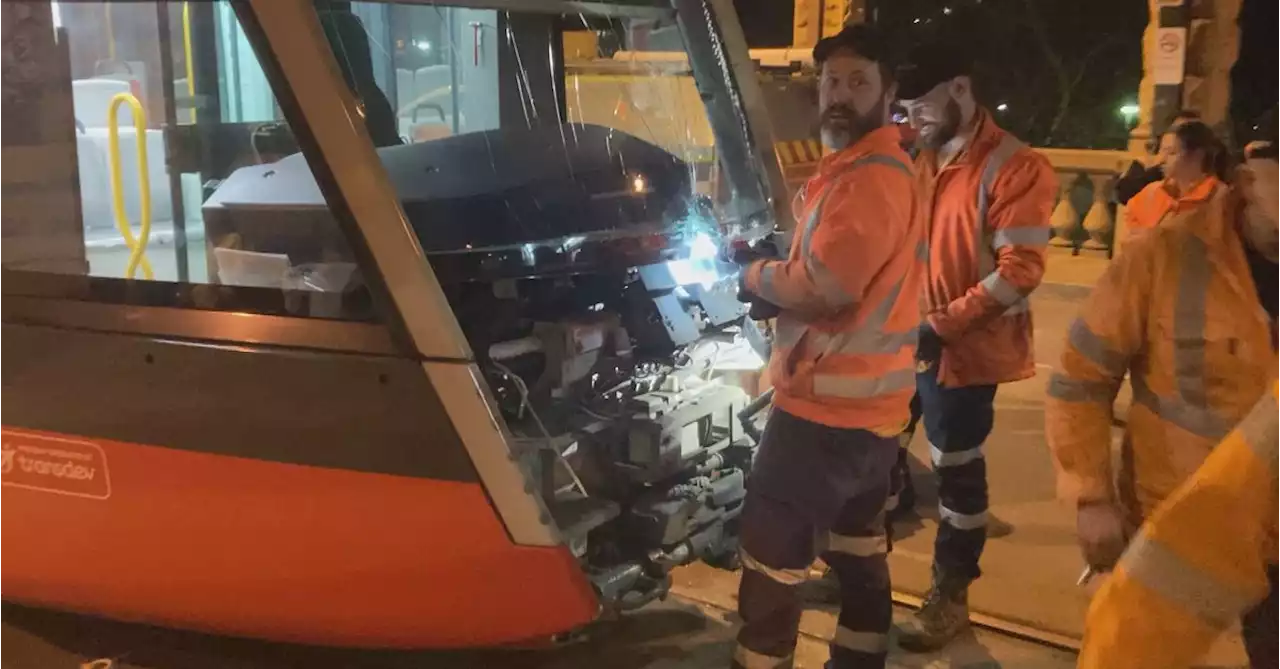 Trams crash into each other, causing Sydney light rail outage on World Cup opening night