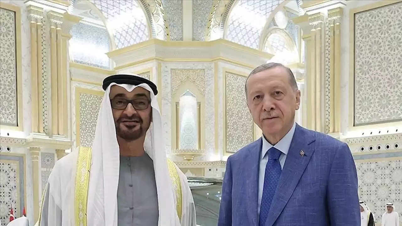 ابراز خرسندی محمد بن زاید از دیدار با اردوغان