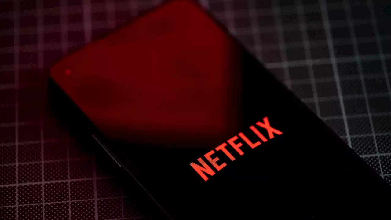 Vorgehen gegen Trittbrettfahrer bringt Netflix mehr Kunden