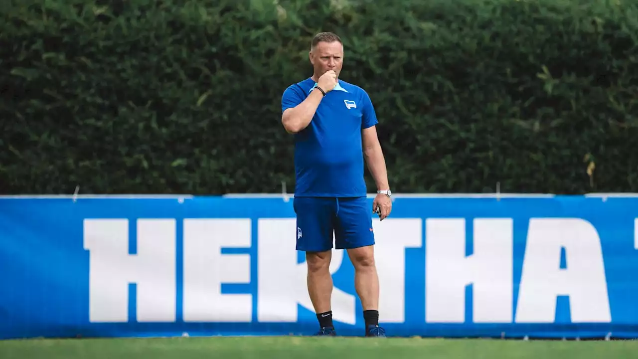 Hertha BSC: Trainer Pal Dardai verschiebt die Wahl eines neuen Kapit