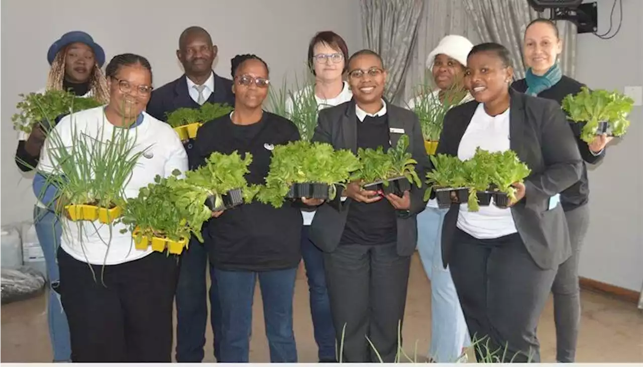 Businesses, organisations do their part for Mandela Day at Cosmos | Boksburg Advertiser