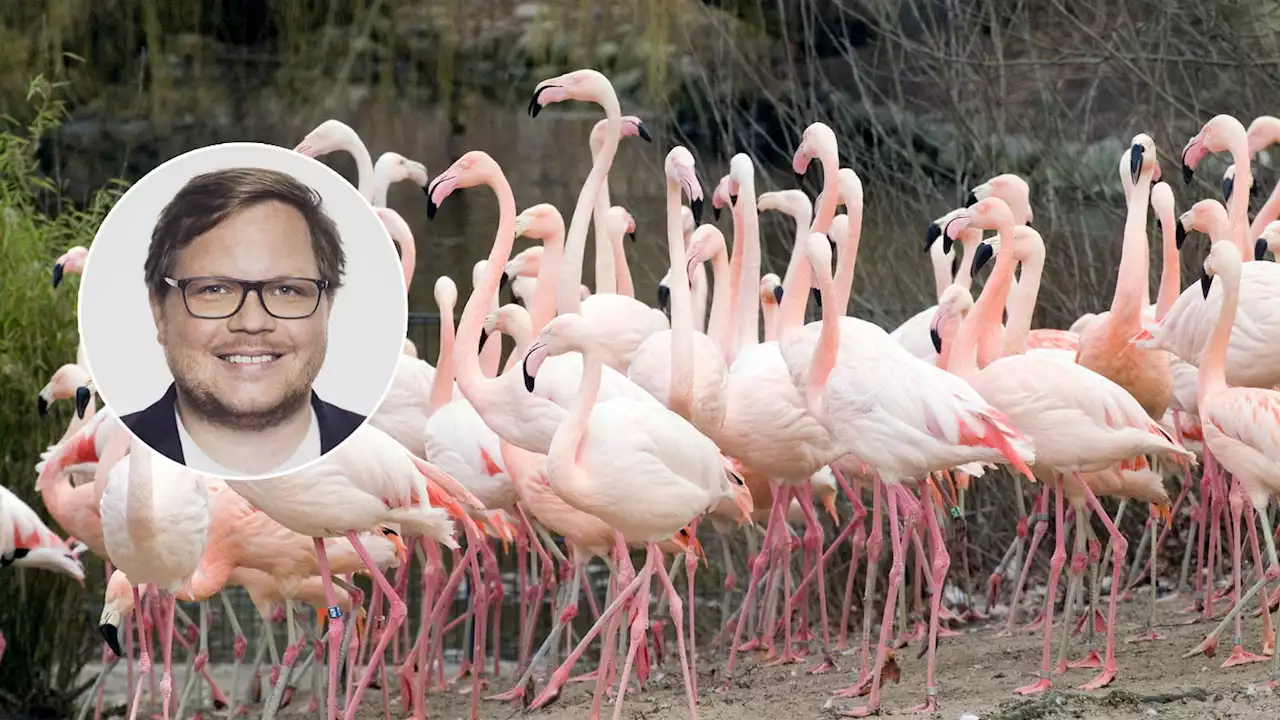 Tierschutz im Zoo