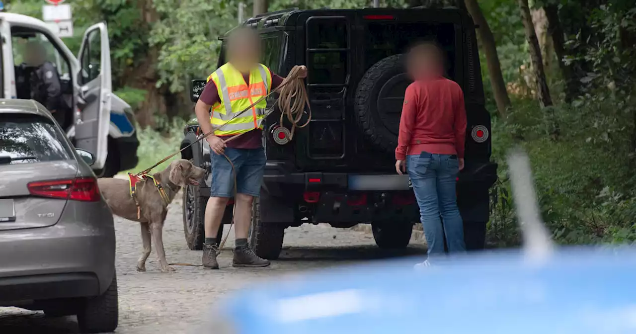 Police believe there's a lioness on the loose in Berlin