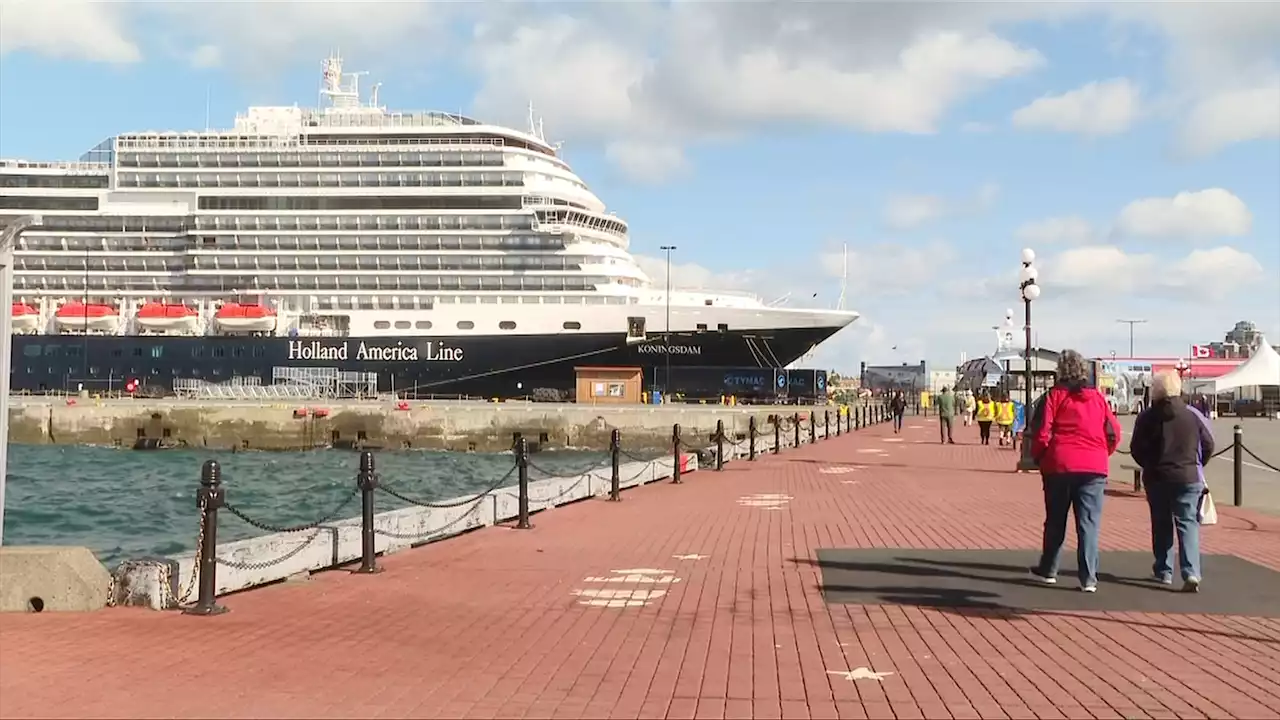 Cruise ships lowering speeds, spending less time in Victoria to reduce emissions