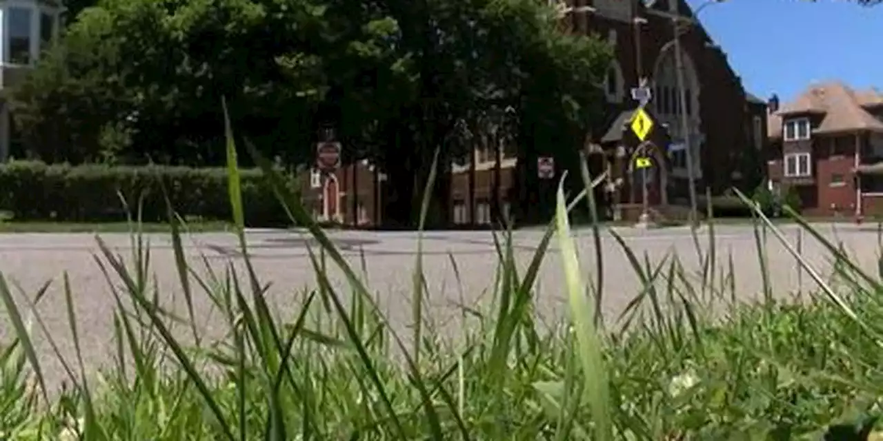 Traffic improvement survey underway after deadly Cleveland hit-and-run