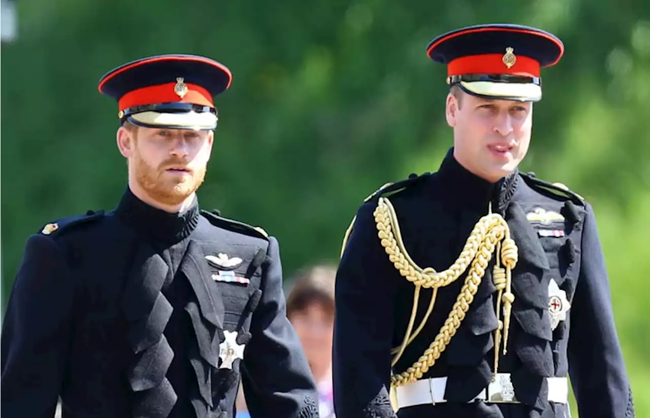 Prince Harry : cet 'oubli' concernant son frère William qui n'est pas passé inaperçu - Closer