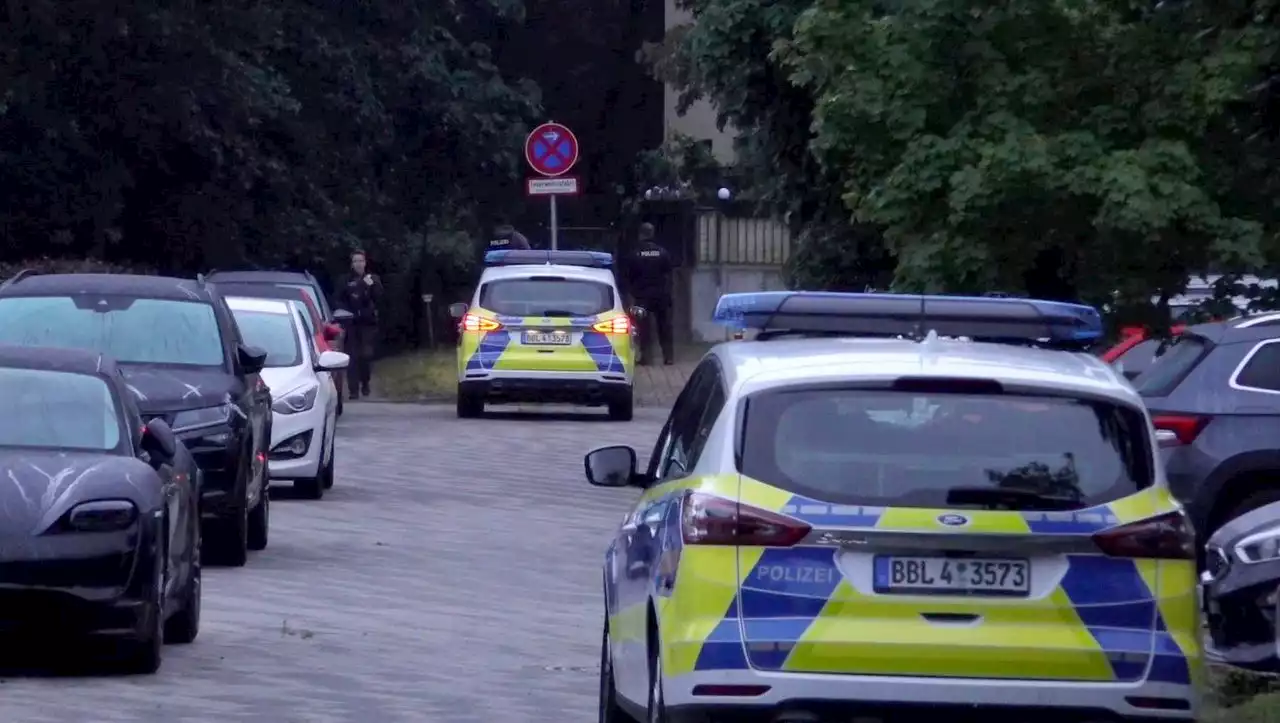 Menschen sollen Häuser nicht verlassen: Polizei in Brandenburg sucht nach einer »großen Raubkatze«