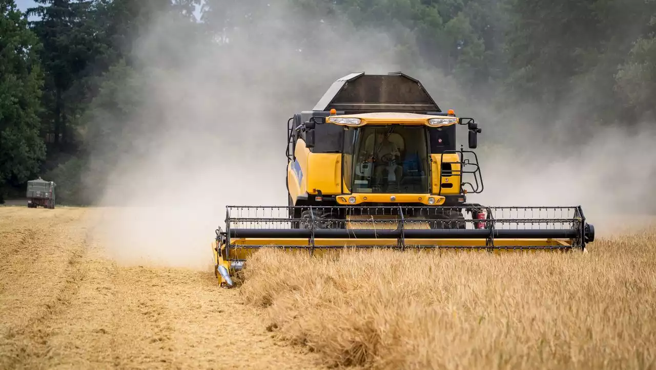 Unfall in Niederbayern: Landwirt stirbt bei Mähdrescher-Reparatur