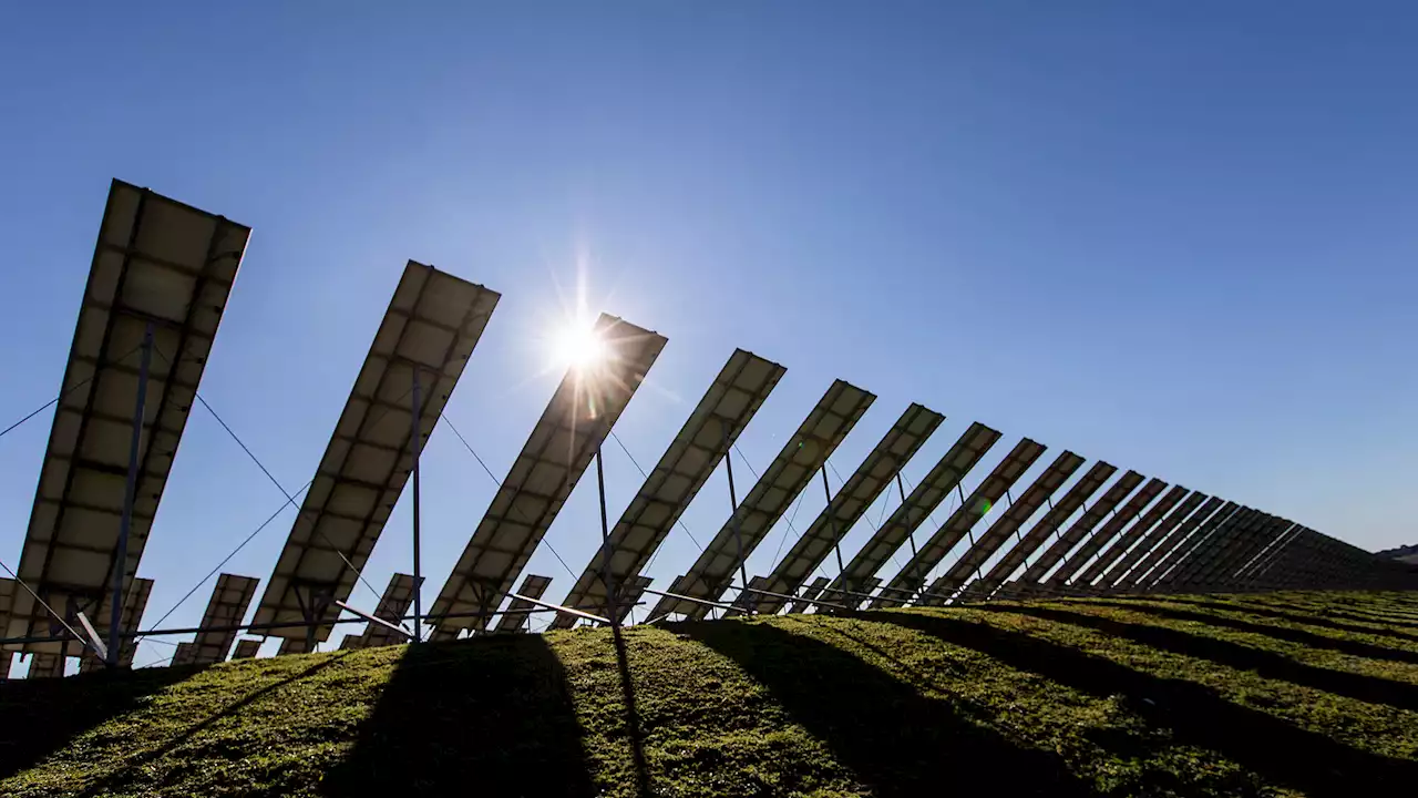 Emprego nas renováveis cresce a pique com solar a brilhar