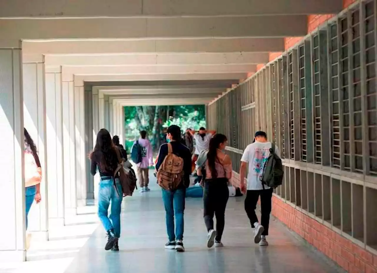 Si usted es víctima del conflicto, puede inscribirse a un fondo para ir a la universidad