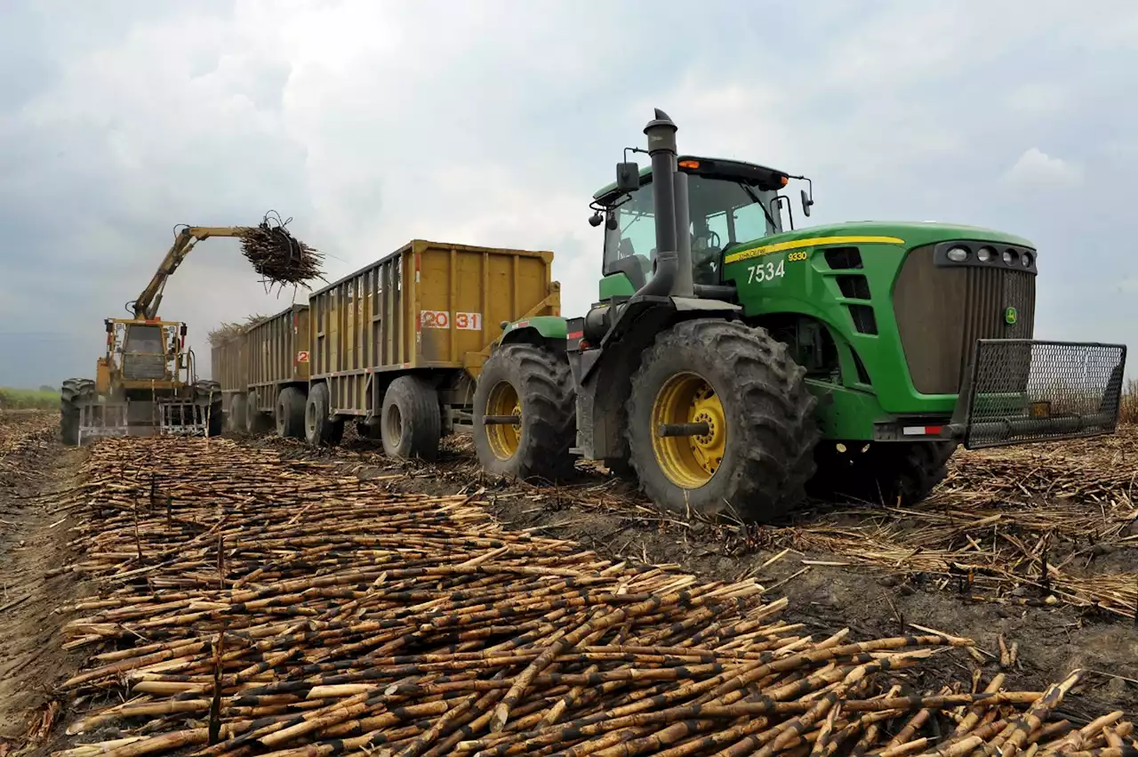 Colombia empieza a fortalecer su apuesta por la producción de biogás y biometano