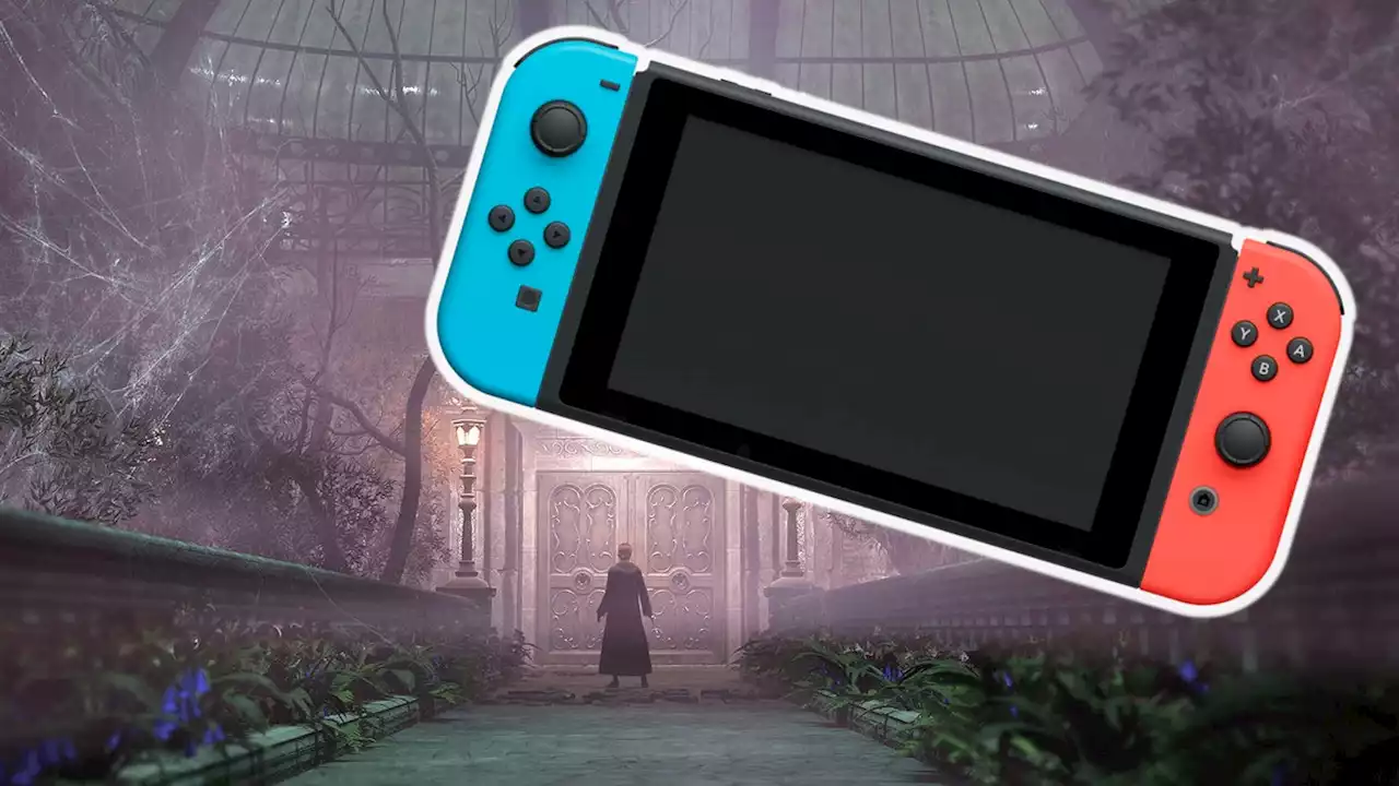 Nintendo Switch 2: Fallt nicht auf diesen Leak herein!