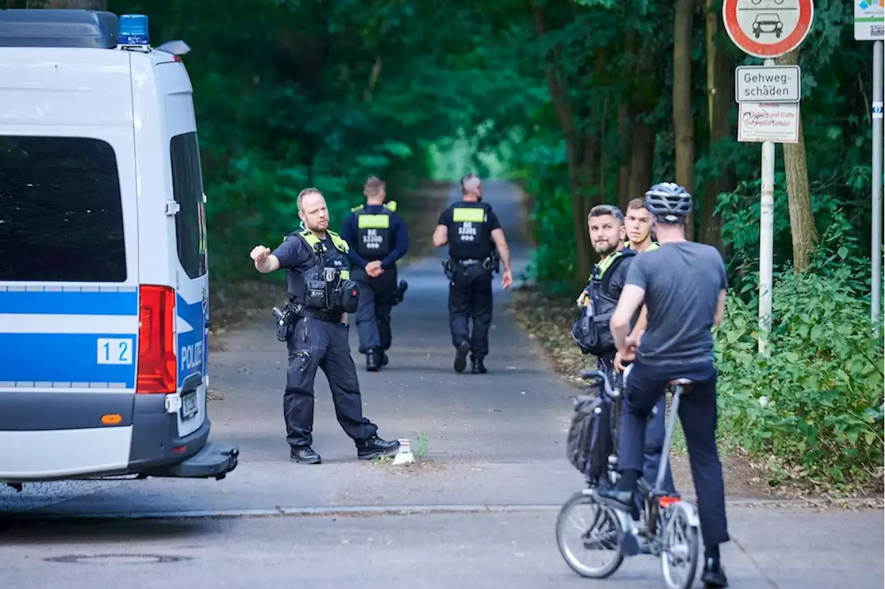 „Schnell raus aus dem Wald!“: Löwin erneut gesichtet: Polizei in Alarmbereitschaft – „heiße Phase“