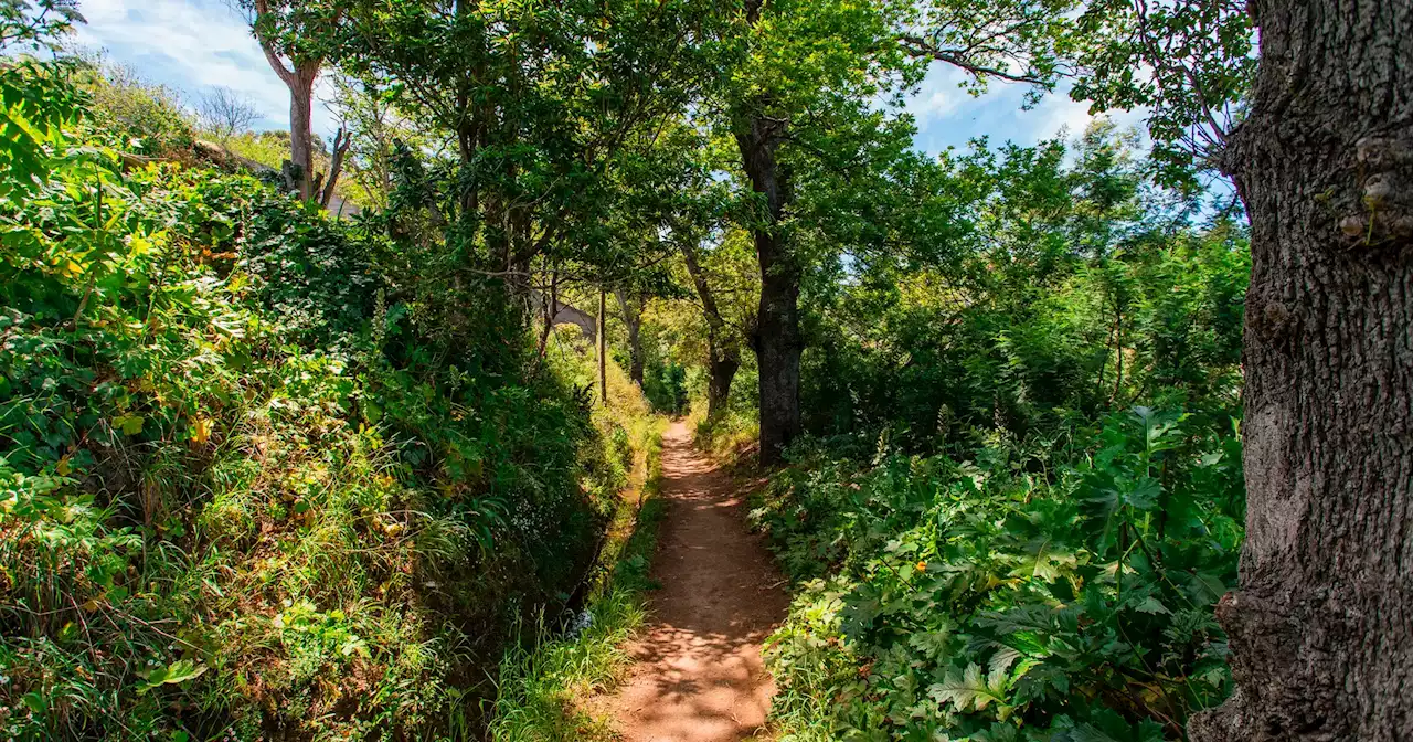 Grátis com o Expresso: 10 destinos para descobrir na Madeira