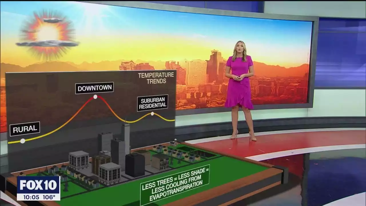 Explaining Phoenix's urban heat island phenomenon