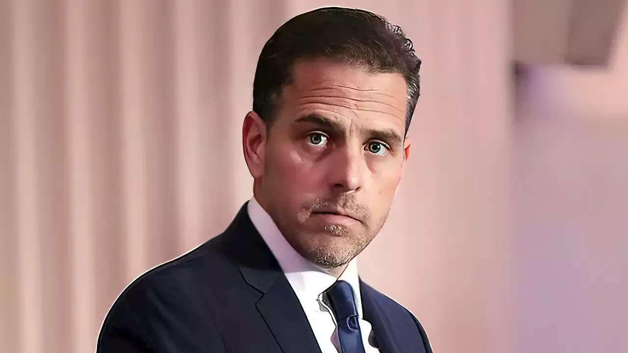 Democrats refuse to face 'real evidence of crimes' by Hunter Biden, GOP rep. says