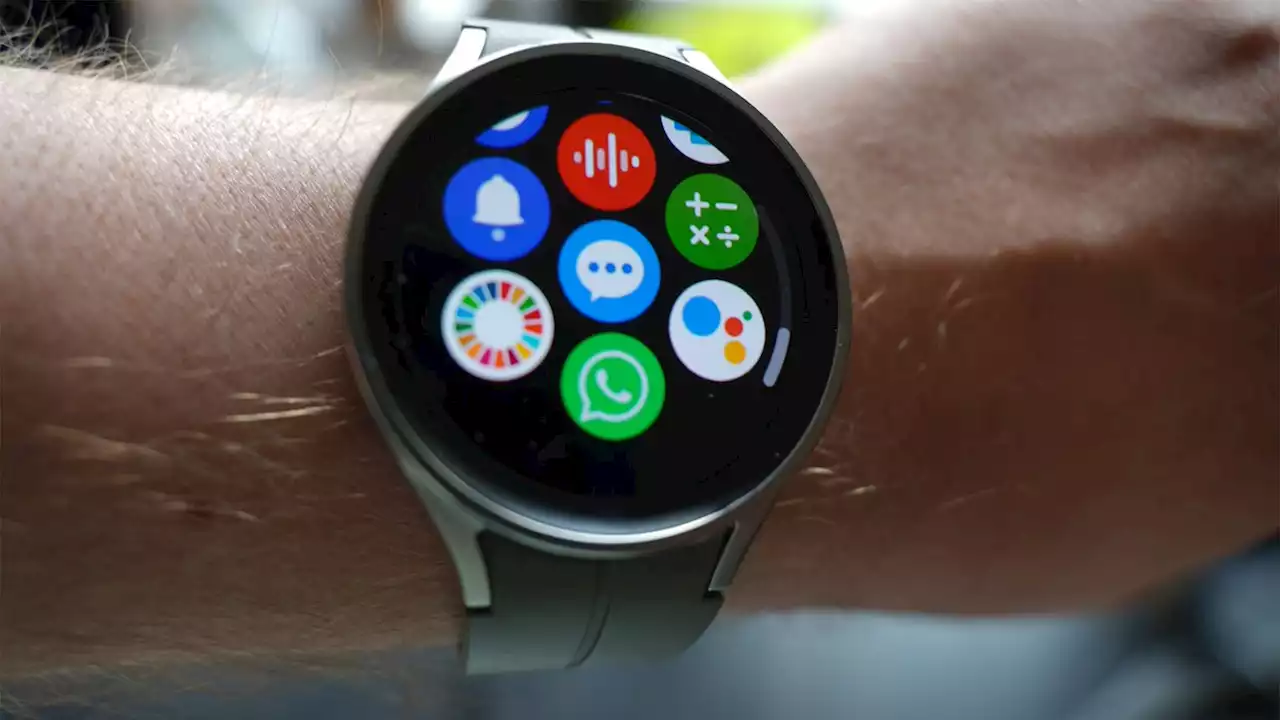 WhatsApp: Der Messenger erscheint endlich für die Smartwatch - Alles zu Installation und Funktionen