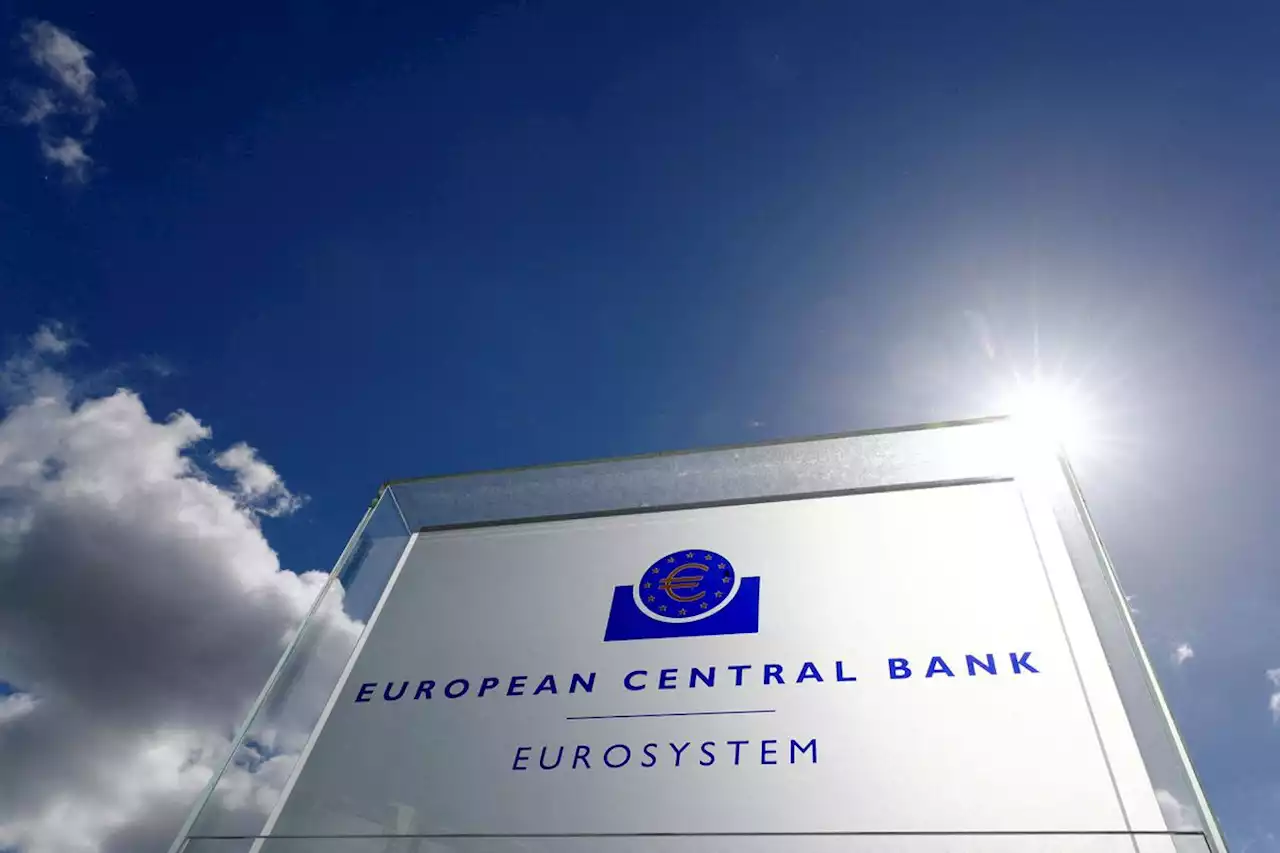 ECB to raise rates by 25 basis points in July, slim majority say Sept too