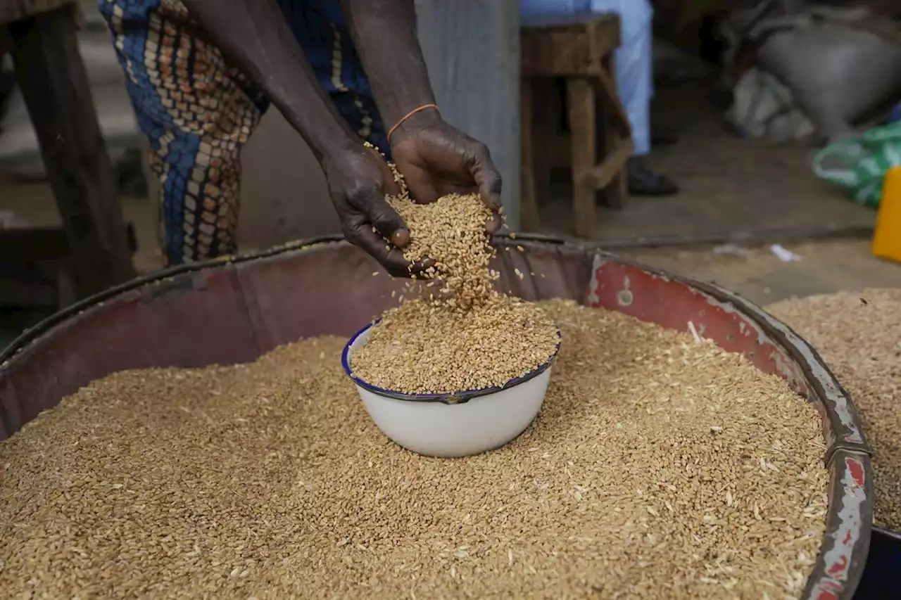 Wheat jumps to three-week high on Ukrainian supplies hit