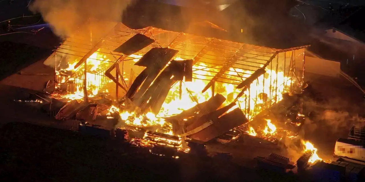 Riesige Rauchsäule über NÖ – Halle geht in Flammen auf