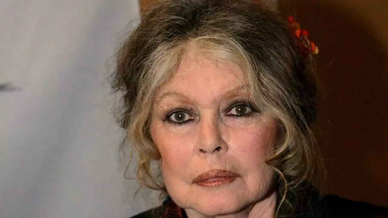 Il caldo record colpisce anche Brigitte Bardot - iO Donna