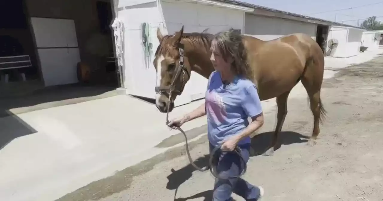 Workers at Golden Gate Fields face uncertain future with end of NorCal horse racing