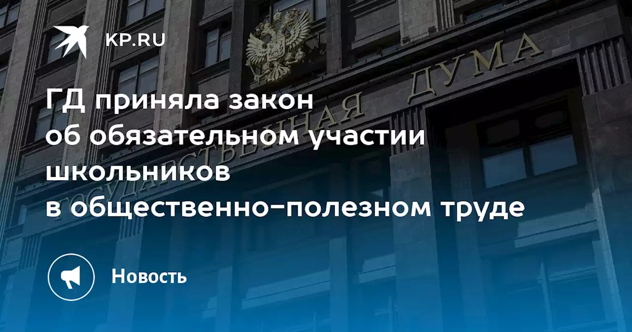 ГД приняла закон об обязательном участии школьников в общественно-полезном труде