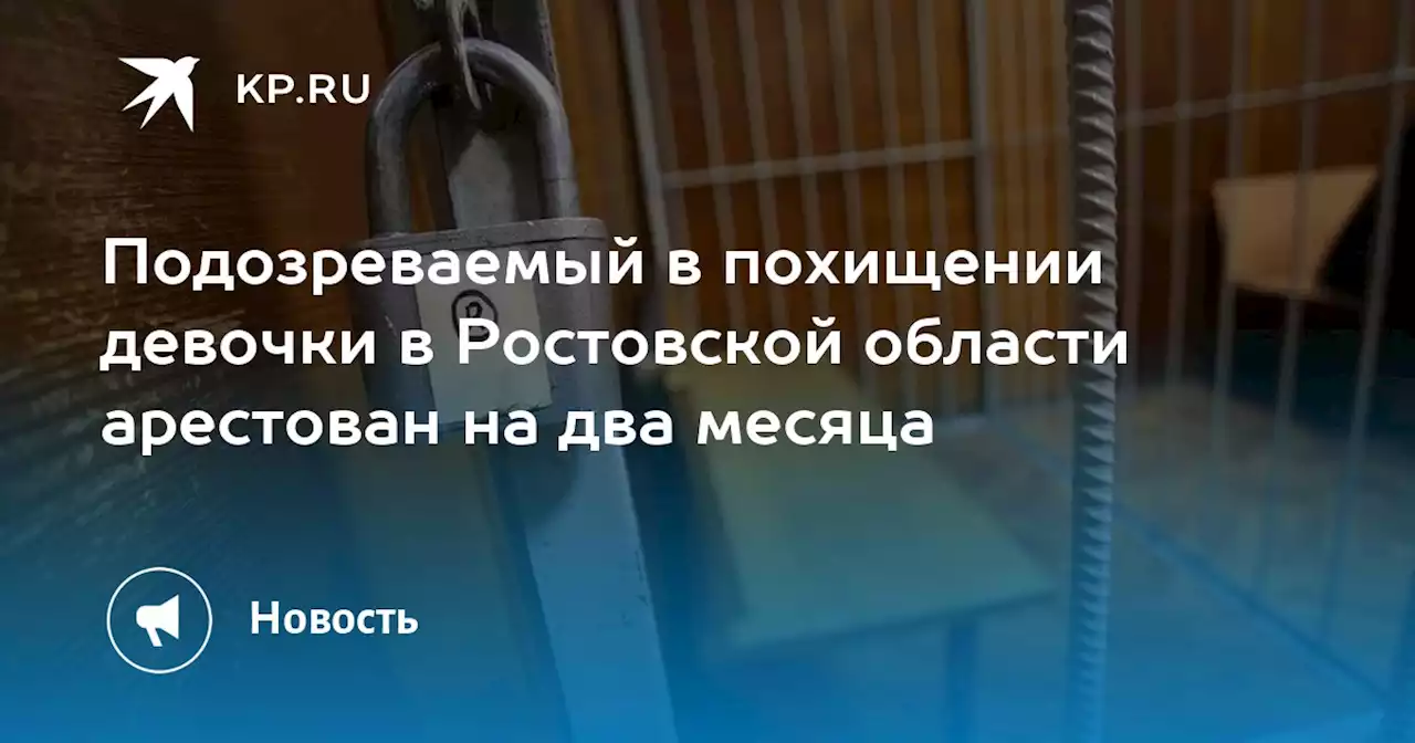 Подозреваемый в похищении девочки в Ростовской области арестован на два месяца