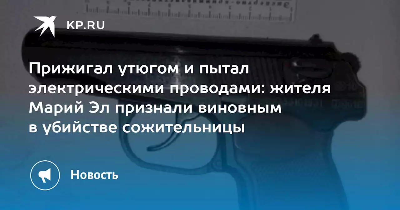 Прижигал утюгом и пытал электрическими проводами: жителя Марий Эл признали виновным в убийстве сожительницы