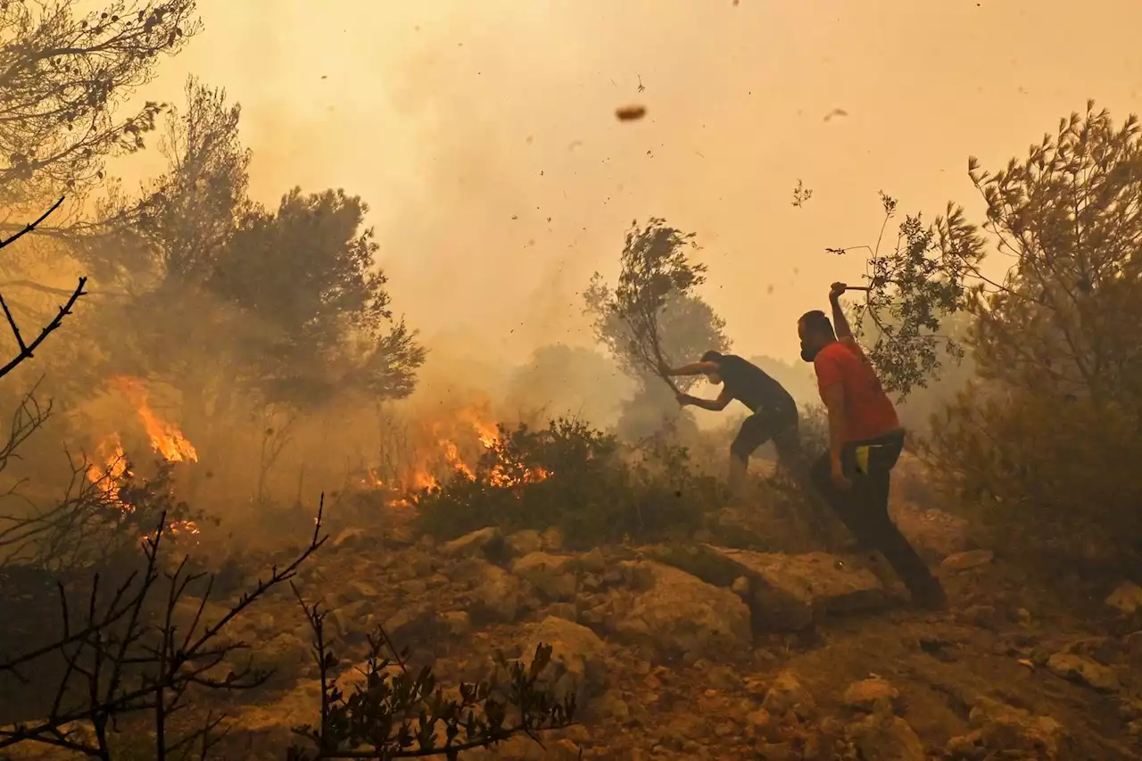 Incendies en Grèce : les plans de prévention toujours insuffisants