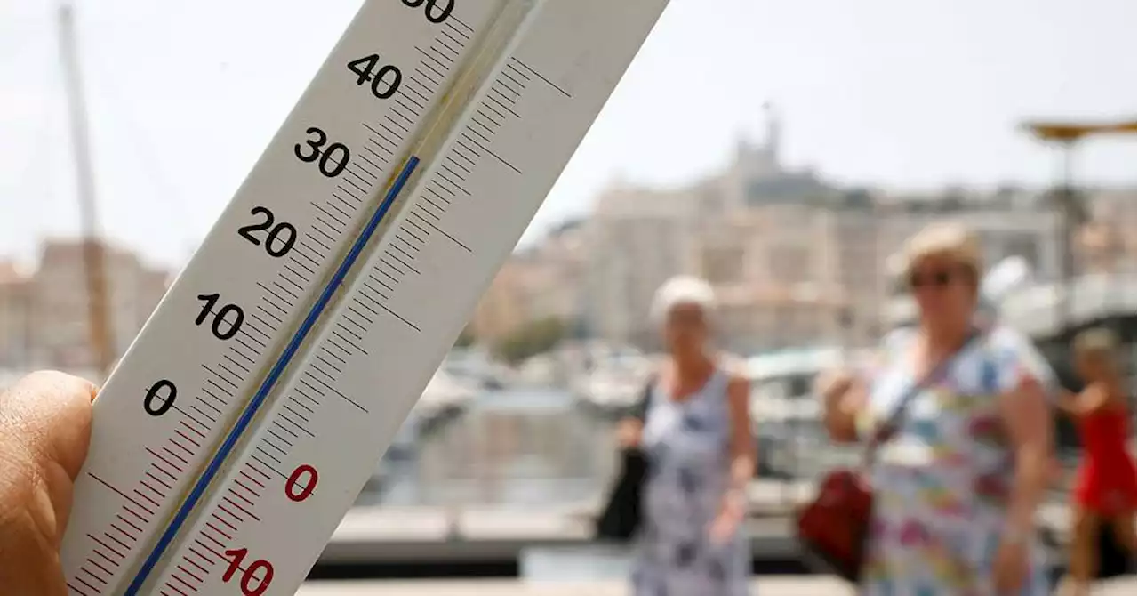 La canicule se poursuit dans le Sud-Est, risques élevés d'incendies dans 3 départements