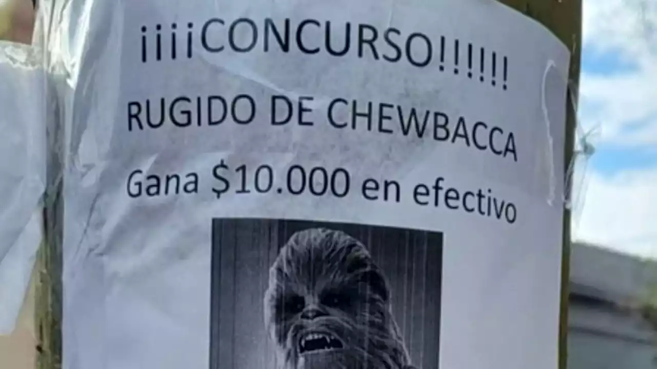 Broma viral: usaron su celular para un concurso de “rugidos de Chewbacca”