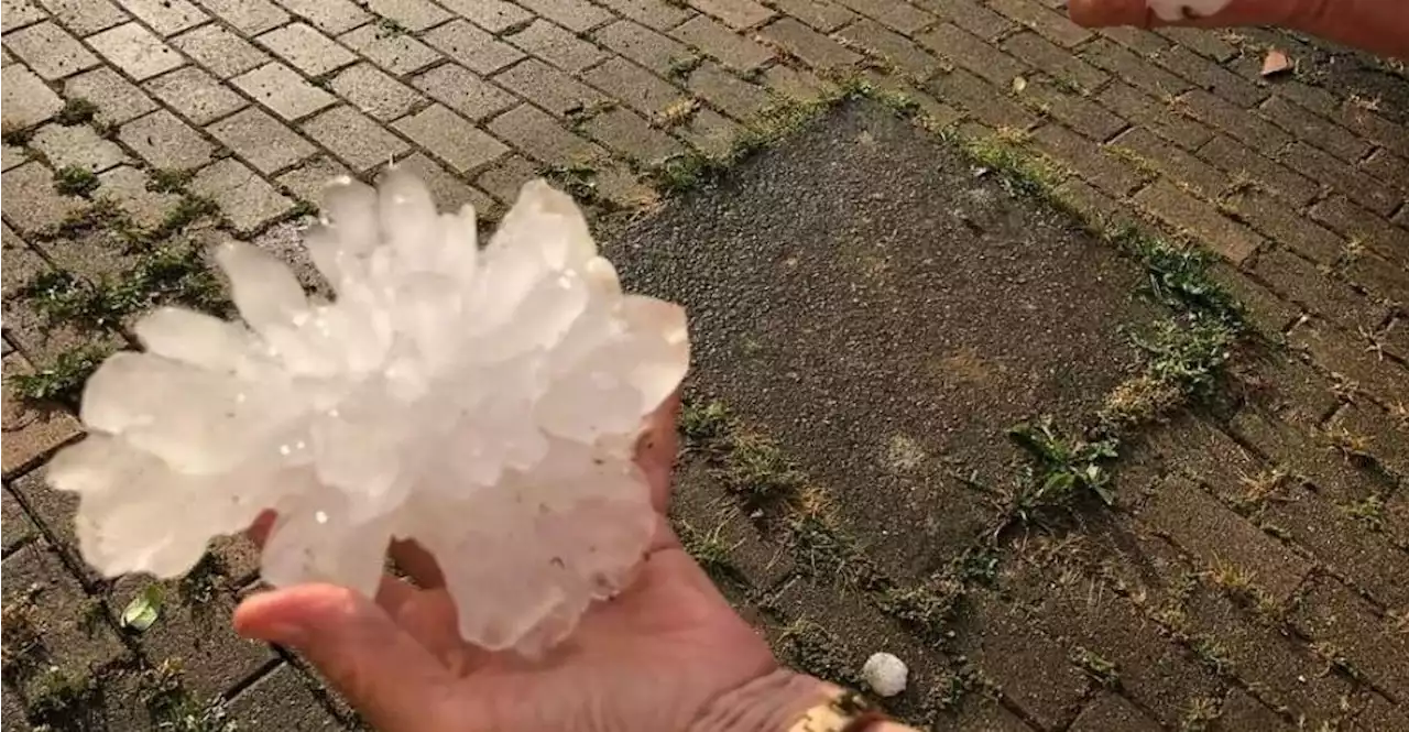 Tennisballgroße Hagelkörner bei Unwetter in Prosecco-Anbaugebiet