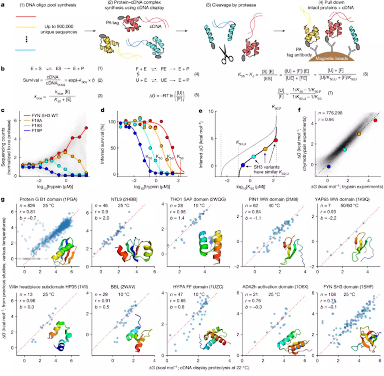 Mega-scale experimental analysis of protein folding stability in biology and design - Nature