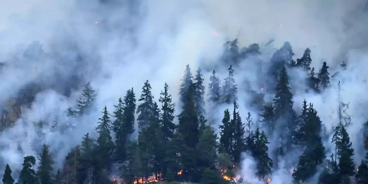 Klimawandel: Auch auf Alpennordseite könnte es bald Waldbrände geben