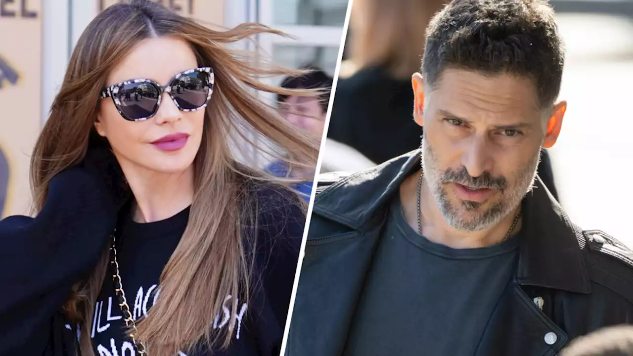 Joe Manganiello officially files for divorce from Sofía Vergara