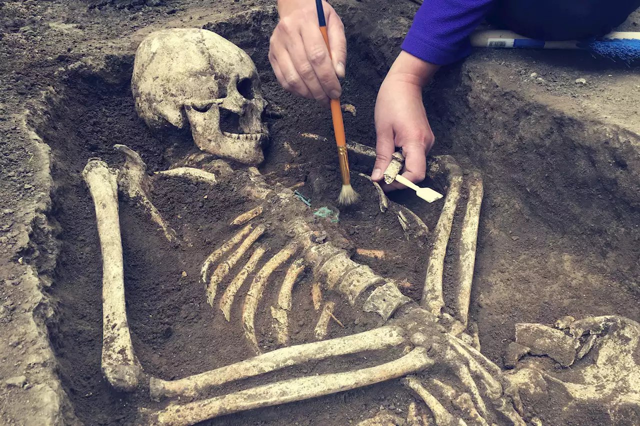 Archaeologists find remains of children and babies in 'Cholera graveyard'