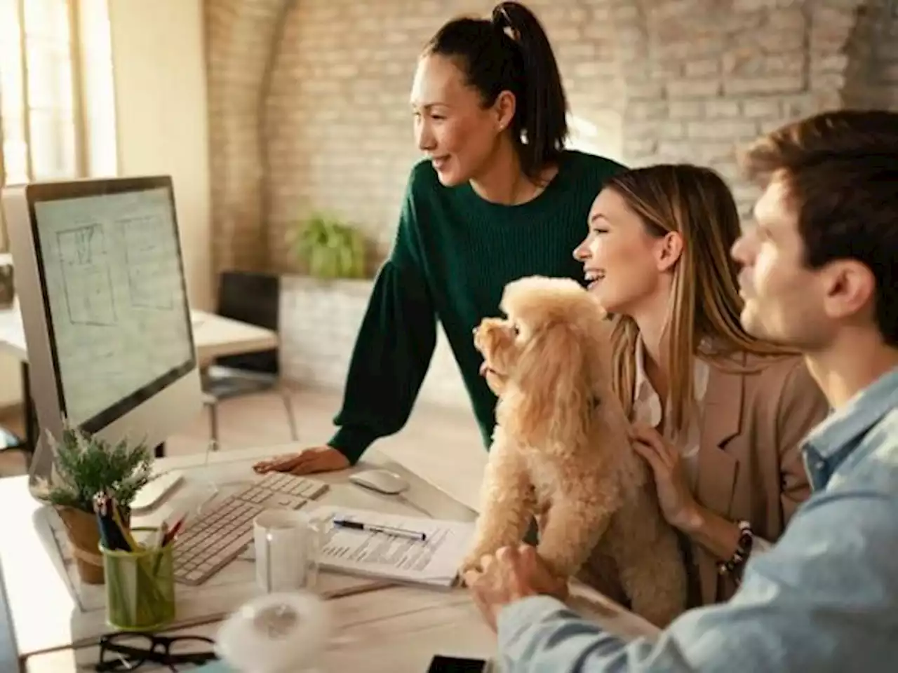 Espacios de trabajo con mascotas pueden mejorar la productividad