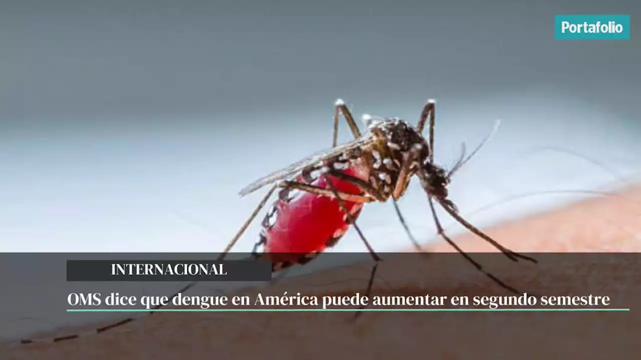 OMS dice que dengue en América puede aumentar en segundo semestre