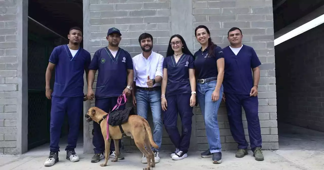 Abrió el nuevo Centro de Bienestar Animal para los más peludos en Barranquilla ¿Qué animales atiende y qué servicios presta?