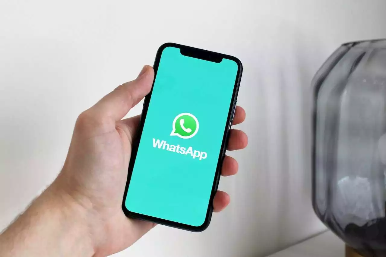 WhatsApp tendrá nueva función para no guardar todos los números de contacto - Pulzo