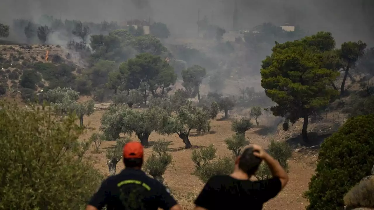 Grèce: répit partiel sur le front des incendies