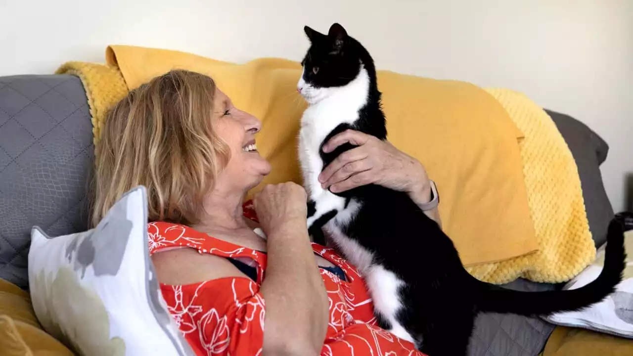 Genevieve is deaf. Her 'hero' cat Zebby helps her and has won a national award