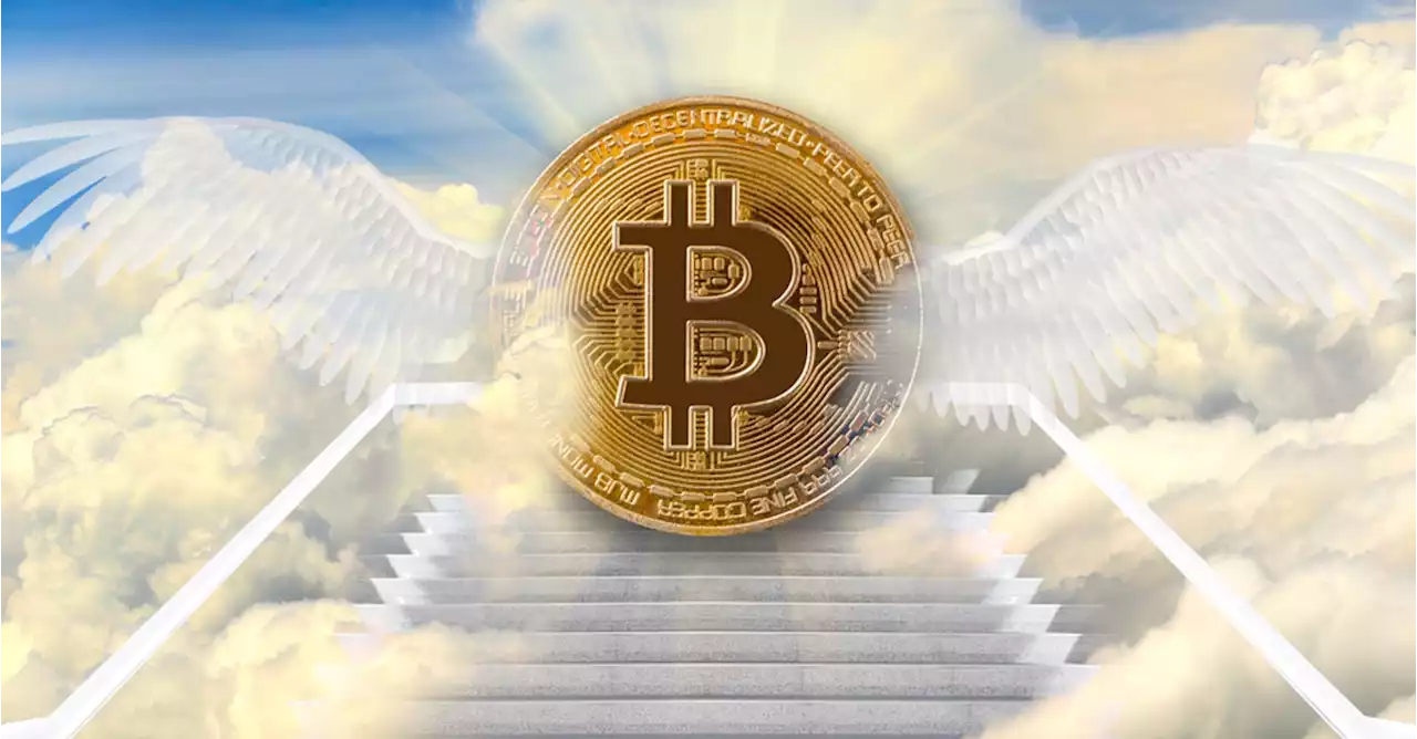 รายงานเผย ส่วนแบ่งตลาด Bitcoin พุ่งทะยานอย่างต่อเนื่องในไตรมาส 2/2023 ขณะที่ Altcoin ขาดทุนยับ